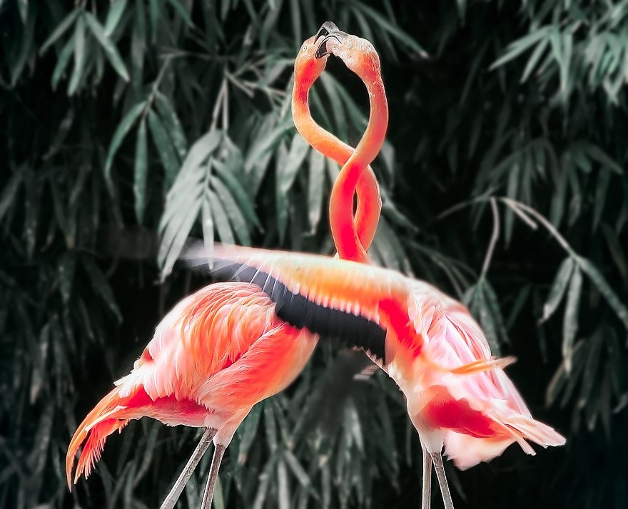 What’s Causing Your Neck Pain?